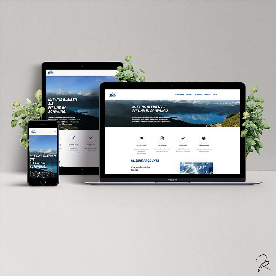 Referenz Webdesign OSP